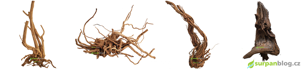 kořeny do akvária