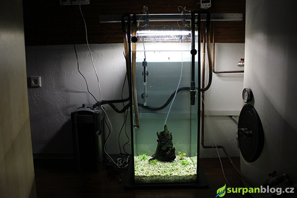 test LED osvetleni LG nad 80 cm vysokem akvariu s kobercovymi rostlinami