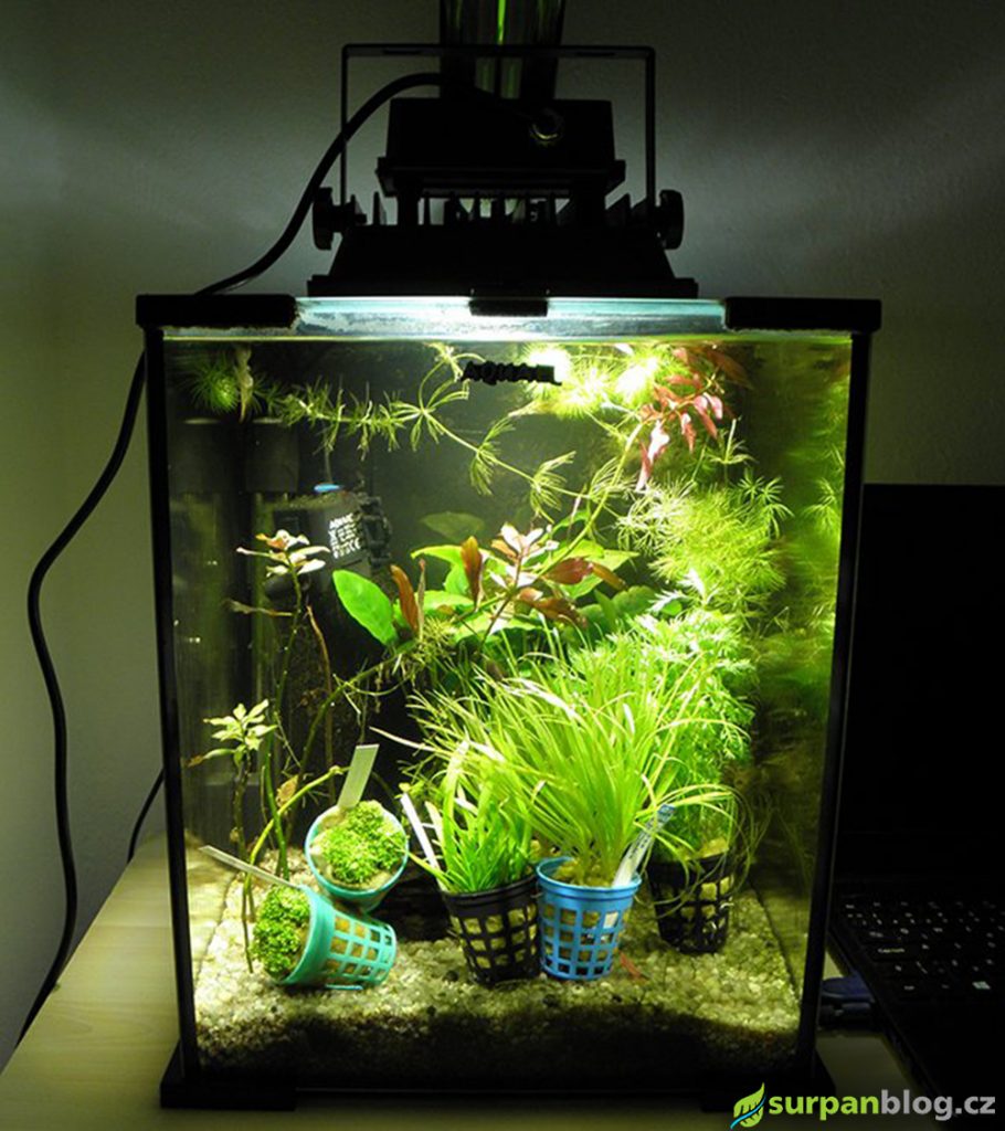 Rostlinne akvarium test LED reflektoru