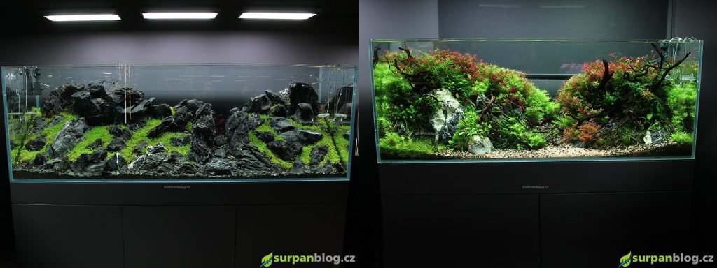 Green Aqua vystava akvaria aquascaping