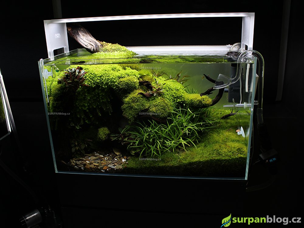 Green Aqua vystava akvarii 3