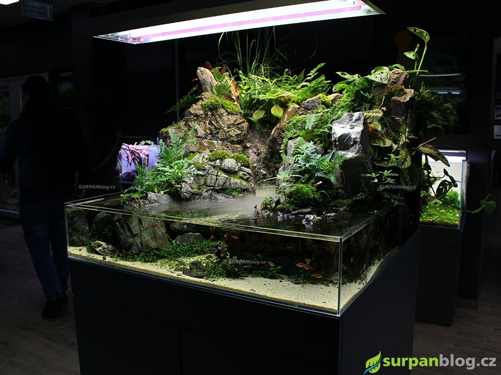Green Aqua vystava akvarii 8