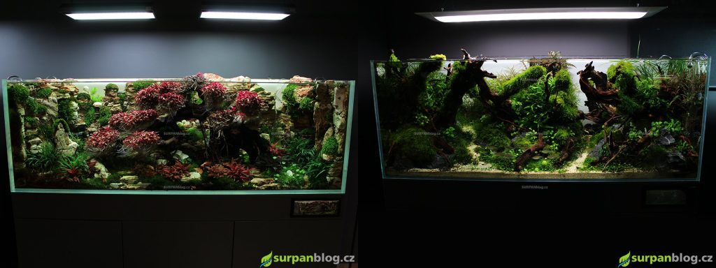 Green Aqua vystava akvarii aquascape rostlinna akvaria