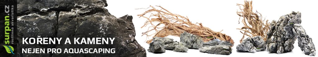 kameny a kořeny do akvária - amano wood