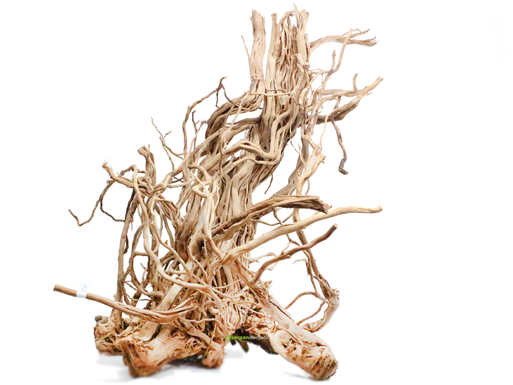 Akvarijní koren - dřevo do akvária - Dekoracni koren Fine Wood Wave - Dragon Wood Curl Wood