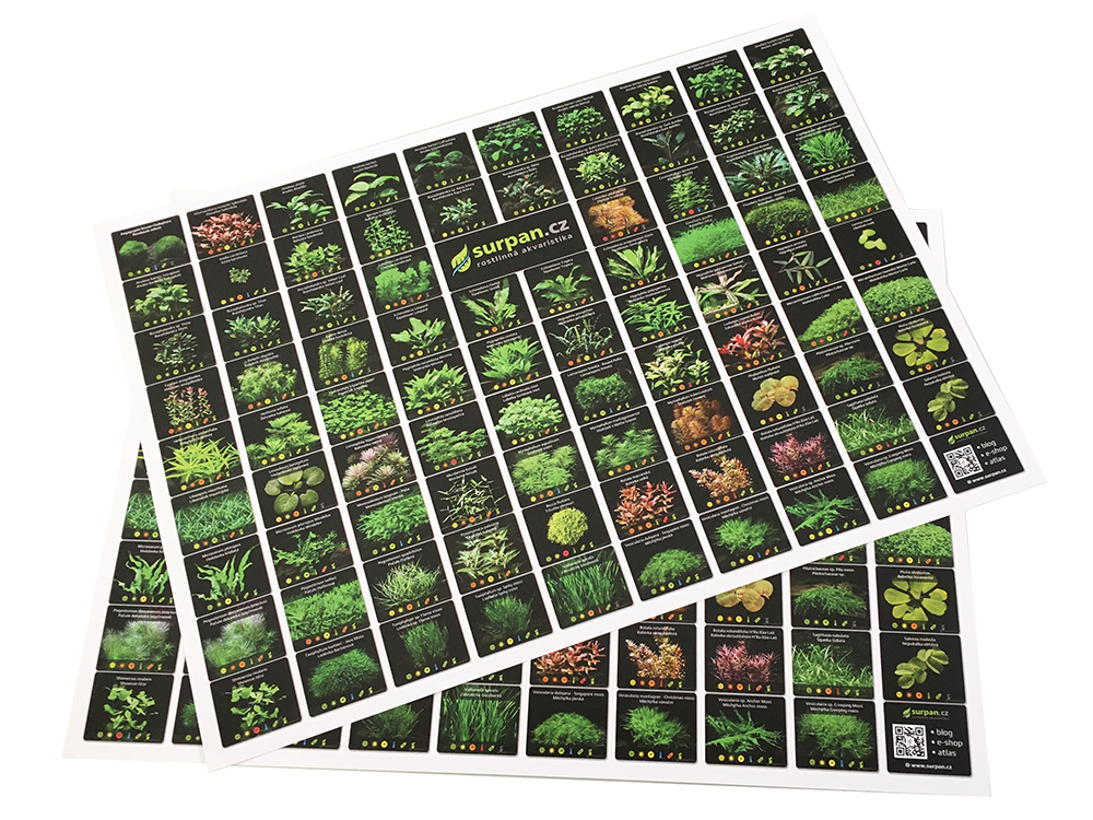 plakát atlas akvarijních rostlin surpan A3