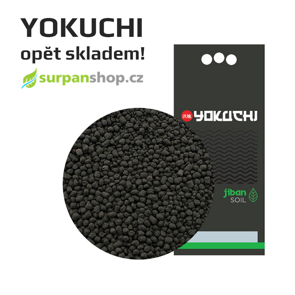 yokuchi jiban soil substrát včetně POWDER